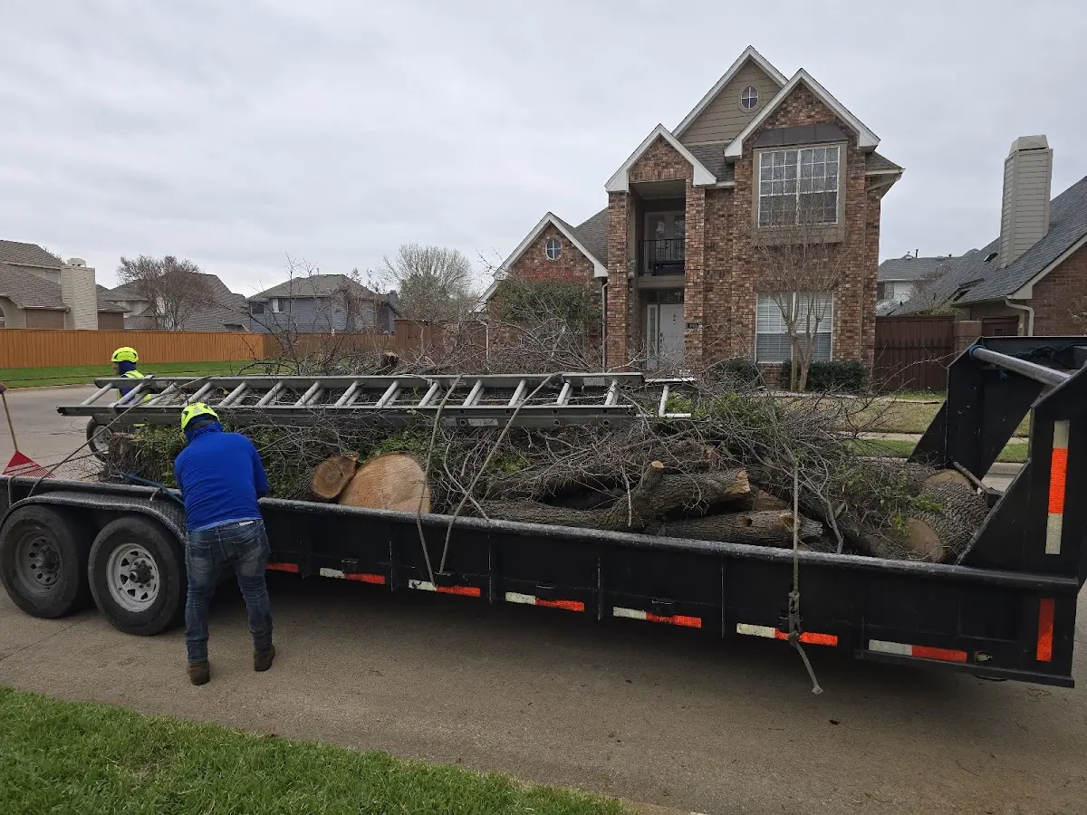 Expert Crown Reduction with proper safety equipment in Groesbeck